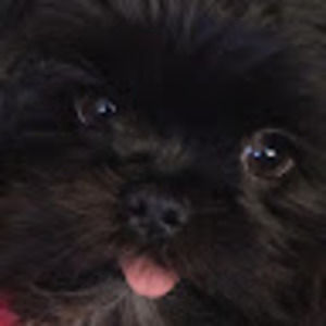 Meet your Posher, Cassandra